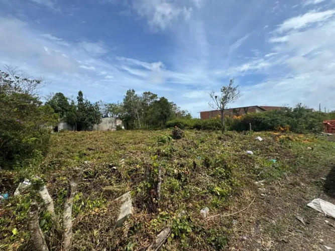 Terreno para Venda em Itanhaém, Luiza Mar Mirim