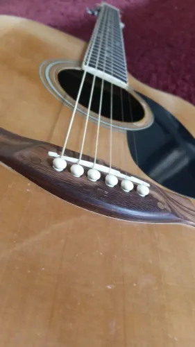 Violao strinberg 650