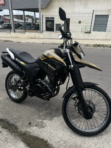 Vendo Lander 2023