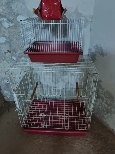 Gaiolas para ave pet!