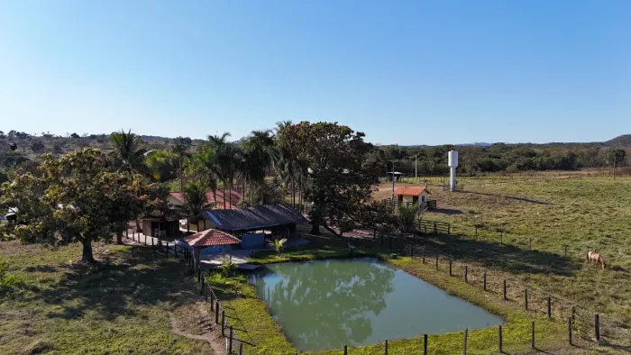 A venda Fazenda em Mairipotaba- Go
