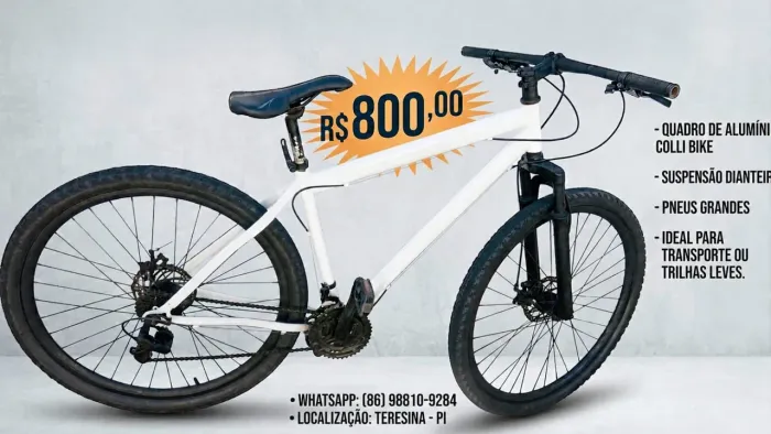 Bicicleta 