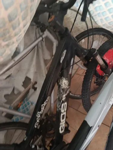 Gios2012