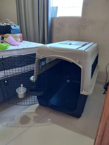Caixa de Transporte de Animais ?