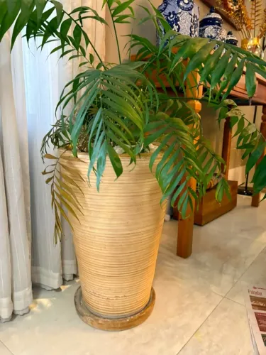 Vaso Alto Decorativo Bege com Palmeira Camedória (Chamaedorea) e Prato