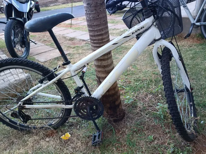 Bicicleta aro 21