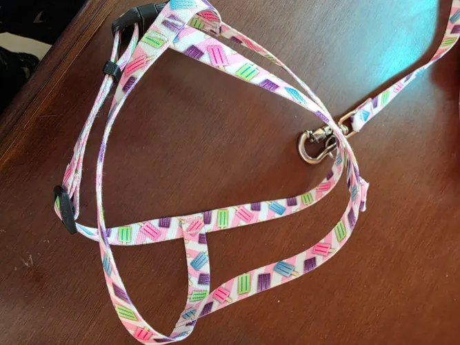 Título: Coleira de Picolé para Cachorro