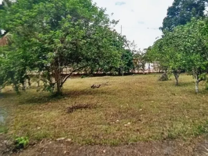 VENDO SÍTIO EM ALDEIA