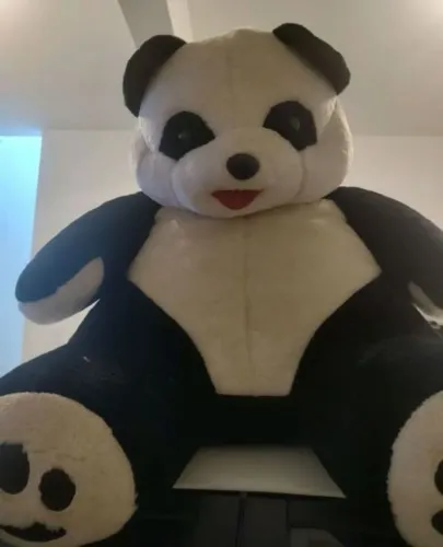 Urso panda 