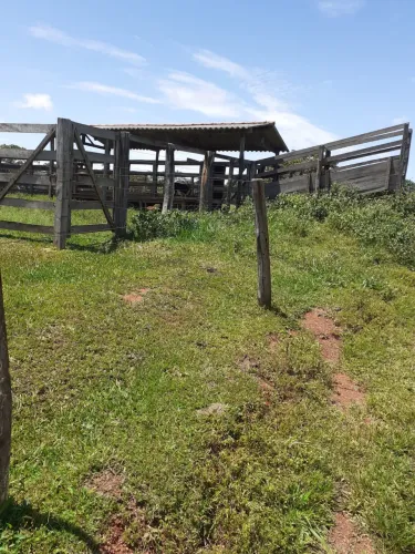 Fazenda 160 hectares próximo à catalão pecuária