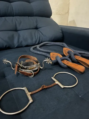 Vendo rédea com biqueira de alívio imediato e espora !!