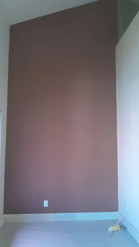 Pintor profissional 