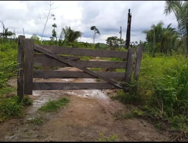 Terreno com 20 alqueiro - Pacajá - PA