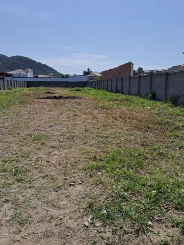 Grande oportunidade de investimento 