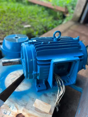 Motor WEG