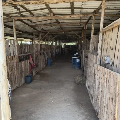 Aluguel baias para cavalos 