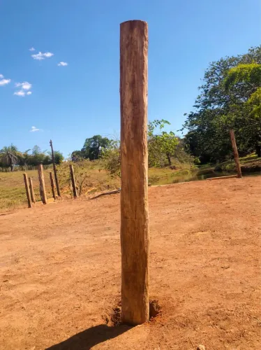 Manco de Aroeira