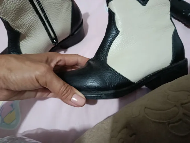 Bota