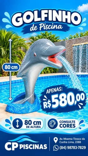GOLFINHO PARA PISCINA