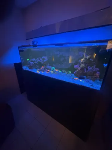 Aquário Sump completo