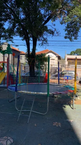 Pula pula para locação 
