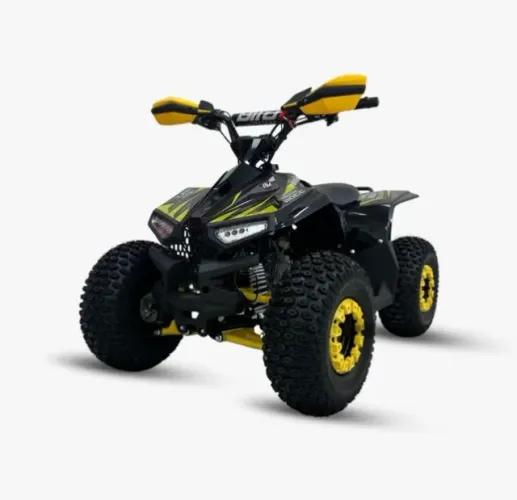 Quadriciclo Iron 110 2026 (0KM Pronta Entrega) Em até 12x sem juros no cartão