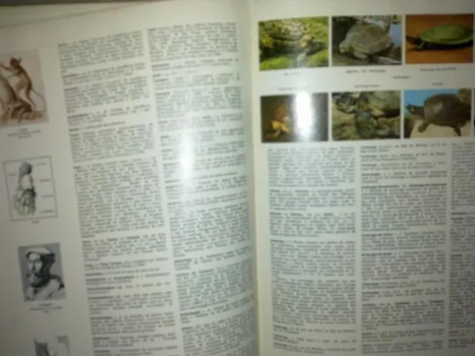 Enciclopédia Delta Larousse com certificado completa 1974
