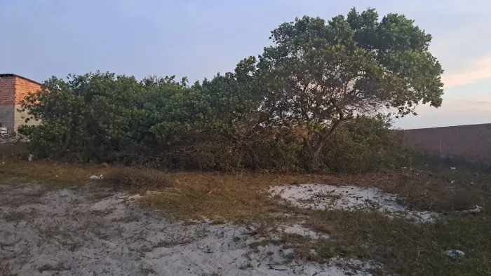 Terreno em Santo Amaro