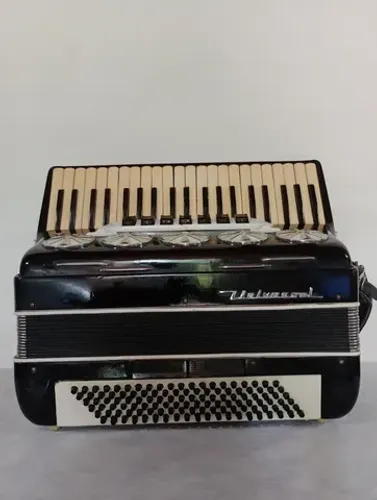 Acordeon Universal 120 Baixos Italiana com Captação de Eletrificação A-Z Original