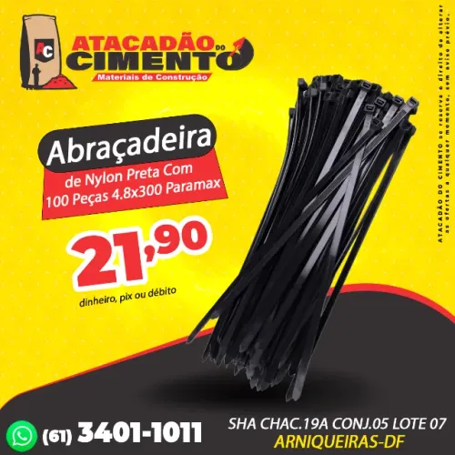 Abraçadeira de Nylon Preta Com 100 Peças 4.8x300 Paramax