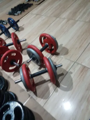 Halteres academia