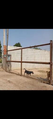 Portão de correr