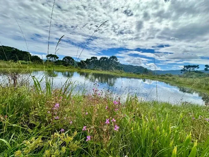 Chácara em Bom Sucesso com Lago Urubici Serra Catarinense