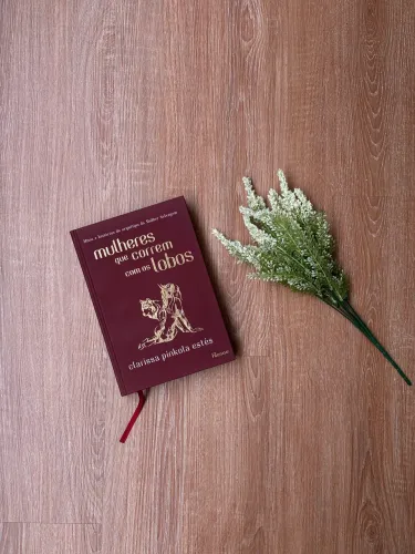 Livro Mulheres que Correm Com os Lobos