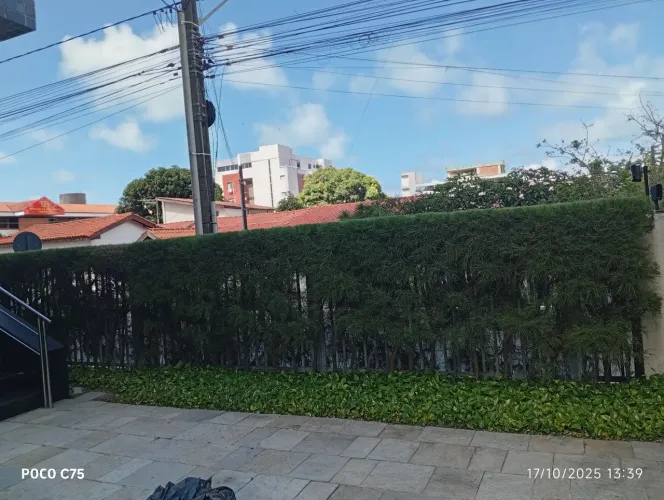 Manutenção e serviço em jardim, faça seu orçamento sem compromisso, *73
