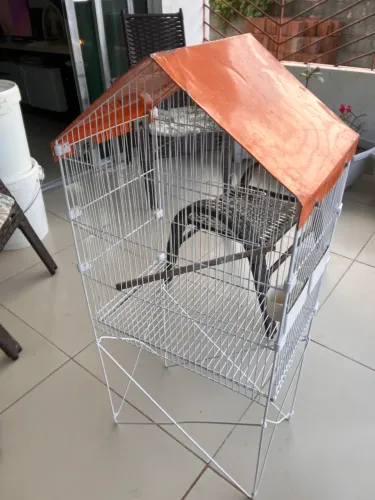 Vendo viveiro para pássaros