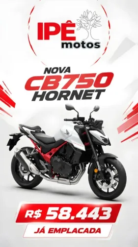 Honda CB750 Hornet 750 | CB 750 | Hornet 750 | Honda Hornet - Branca | Preta