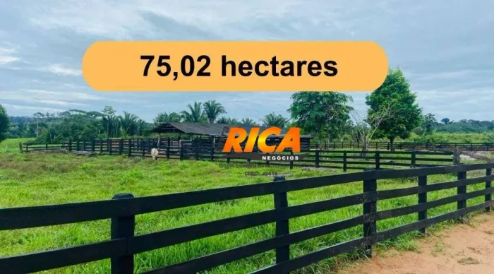 Vende-se fazenda à venda, com 75,02 hectares no município de Nova Mamoré/RO