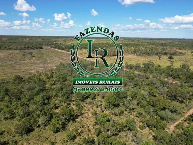 Oportunidade Fazenda Bruta Tocantins 117 alqueires.