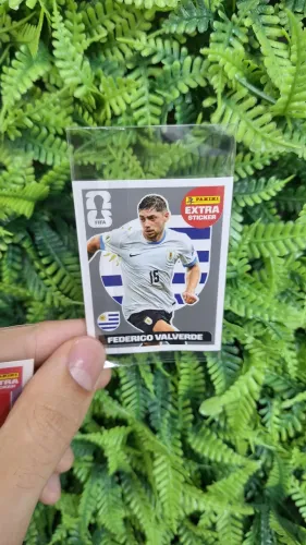 Figurinha da copa do mundo