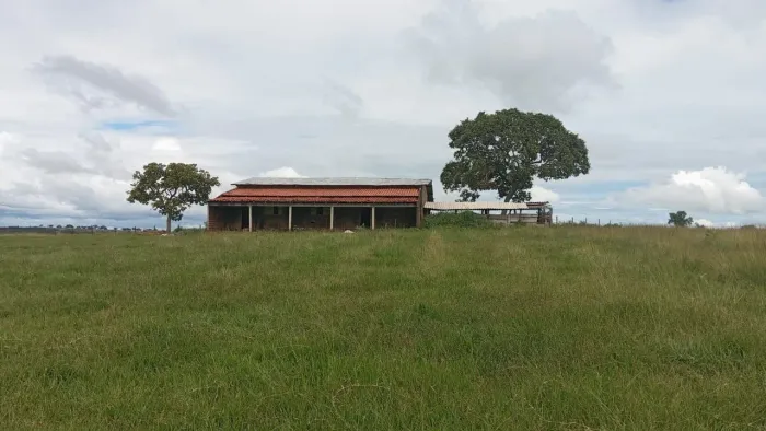 Fazenda arrendamento pra Gado (pasto) 353 alqueires em pasto em Caiapônia R$:60.00 cabeça