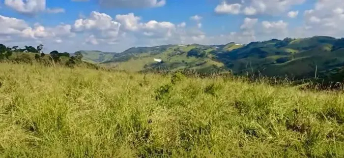seu sonho em cambui
