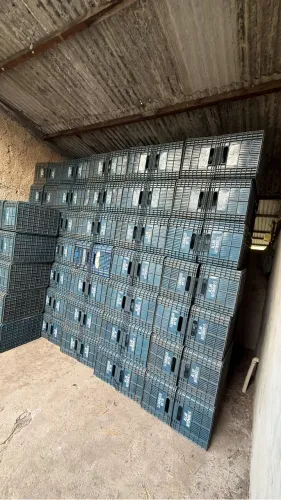 Caixas plásticas