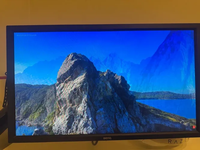 Monitor