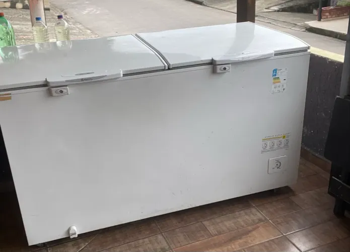 Congelador Electrolux H550 220v