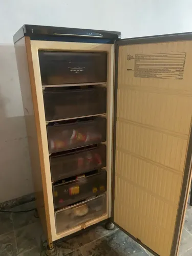 Freezer vertical