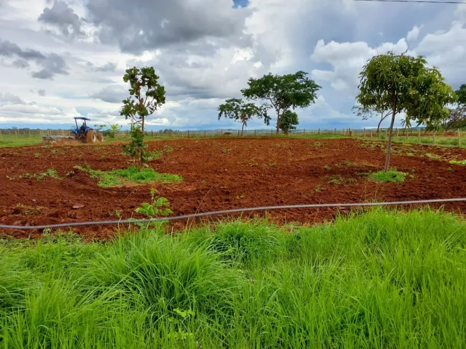Chácara em Aragoiânia-GO