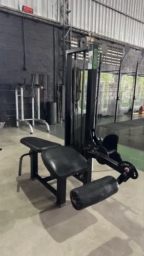 Mesa flexora