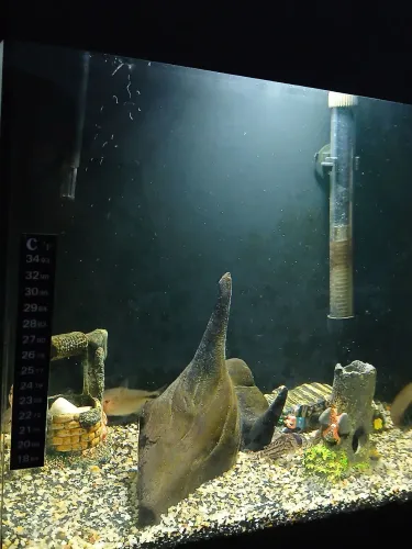 Vendo aquário 90 litros