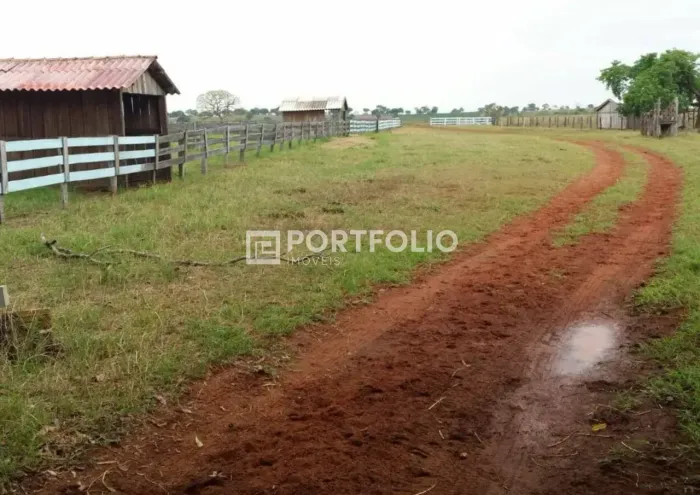 Fazenda à venda com 773 alqueires em Mato Grosso, MT